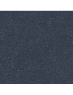 Dalle extérieur Nacre BELGIUM NERO 2.0 R11 60x60 cm    Catégorie Da...