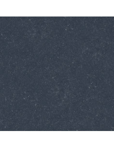 Dalle extérieur Nacre BELGIUM NERO 2.0 R11 60x60 cm    Catégorie Da...