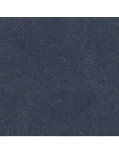 Dalle extérieur Nacre BELGIUM NERO 2.0 R11 60x60 cm    Catégorie Da...