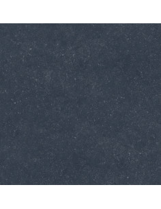 Dalle extérieur Nacre BELGIUM NERO 2.0 R11 60x60 cm    Catégorie Da...