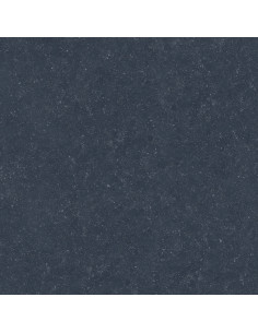 Dalle extérieur Nacre BELGIUM NERO 2.0 R11 60x60 cm    Catégorie Da...