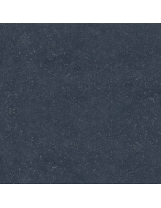 Dalle extérieur Nacre BELGIUM NERO 2.0 R11 60x60 cm    Catégorie Da...