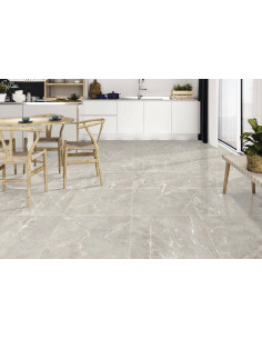 Carrelage effet brillant 60x60 coleur gris modèle Jiniva Natural
