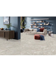 Carrelage effet brillant 60x60 coleur gris modèle Jiniva Natural