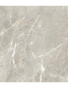 Carrelage effet brillant 60x60 coleur gris modèle Jiniva Natural