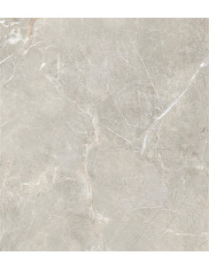 Carrelage effet brillant 60x60 coleur gris modèle Jiniva Natural