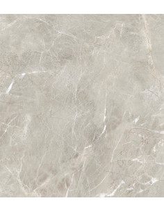 Carrelage effet brillant 60x60 coleur gris modèle Jiniva Natural