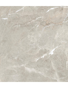 Carrelage effet brillant 60x60 coleur gris modèle Jiniva Natural