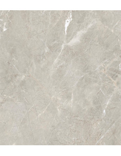 Carrelage effet brillant 60x60 coleur gris modèle Jiniva Natural