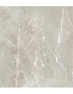 Carrelage effet brillant 60x60 coleur gris modèle Jiniva Natural