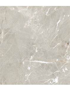 Carrelage effet brillant 60x60 coleur gris modèle Jiniva Natural