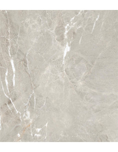 Carrelage effet brillant 60x60 coleur gris modèle Jiniva Natural