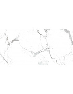 Carrelage effet marbre 60X120CM modèle MODERN STATUARIO