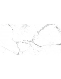 Carrelage effet marbre 60X120CM modèle MODERN STATUARIO