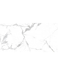 Carrelage effet marbre 60X120CM modèle MODERN STATUARIO