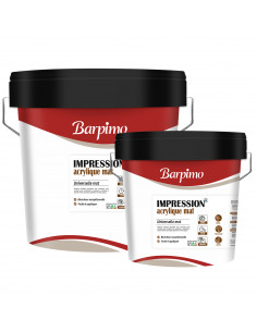 Impression acrylique universelle pour murs et plafonds intérieur 12L