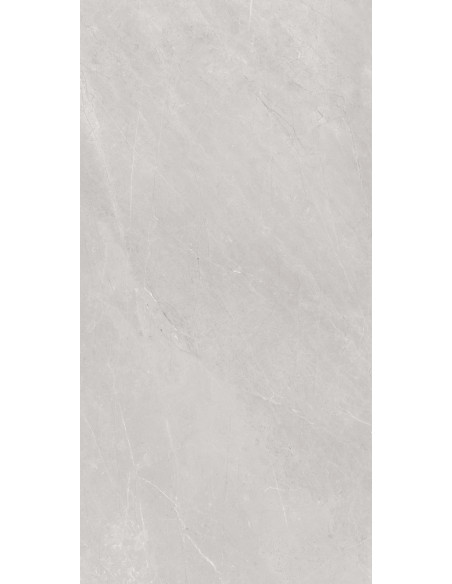 Carrelage ALTIS GREY 60x120 Brillant – L'Élégance du Gris au Service de Votre Intérieur