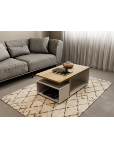 Table Basse ACCESS – Design Moderne et Fonctionnel – Fabrication Française